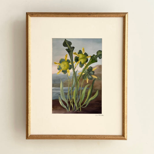 Greenhouse/decoration 07